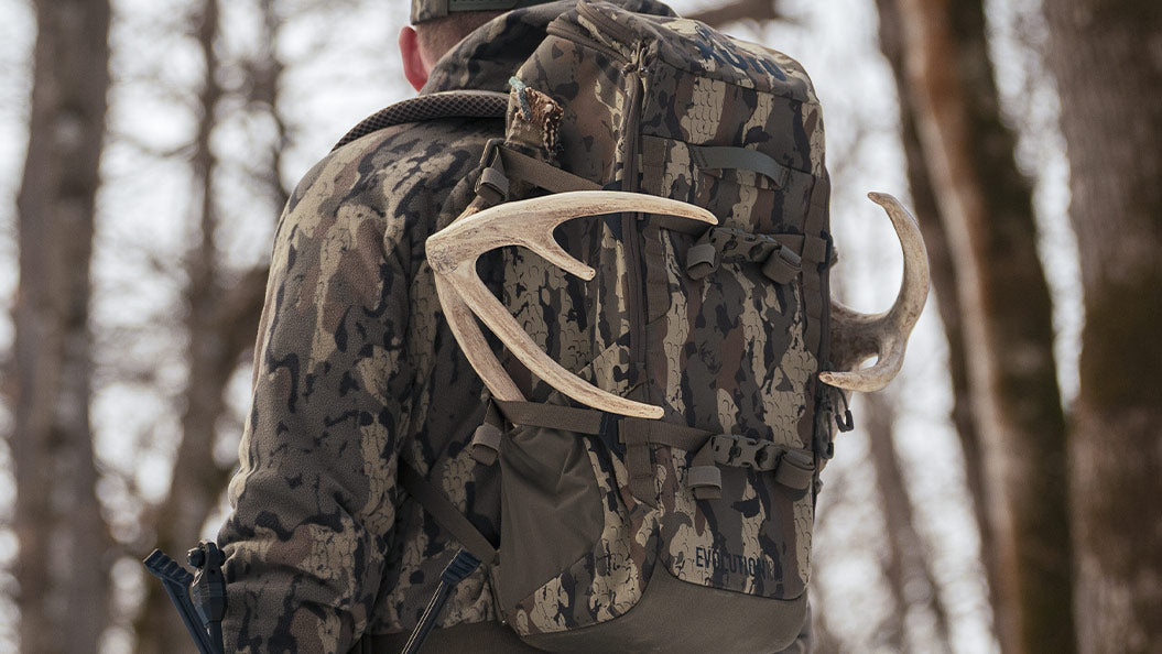 Whitetail